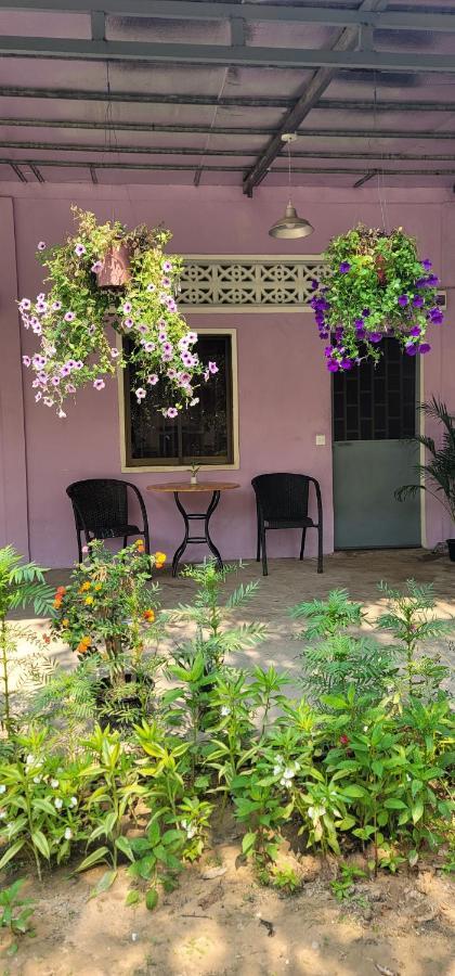 시엠리아프 The Purple House 아파트 객실 사진